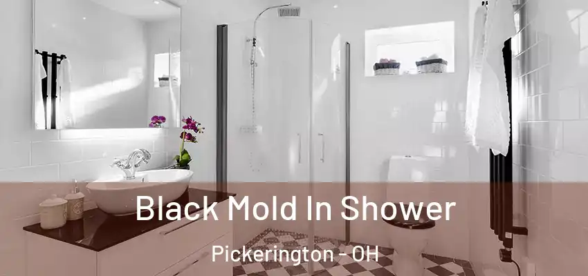  Black Mold In Shower Pickerington - OH