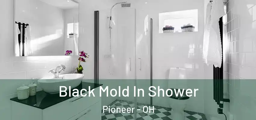  Black Mold In Shower Pioneer - OH