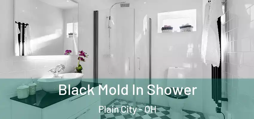  Black Mold In Shower Plain City - OH