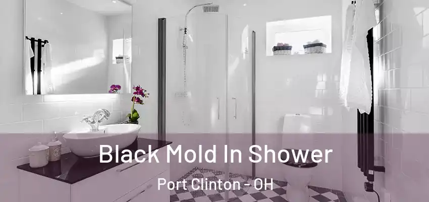  Black Mold In Shower Port Clinton - OH