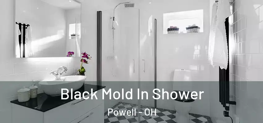  Black Mold In Shower Powell - OH