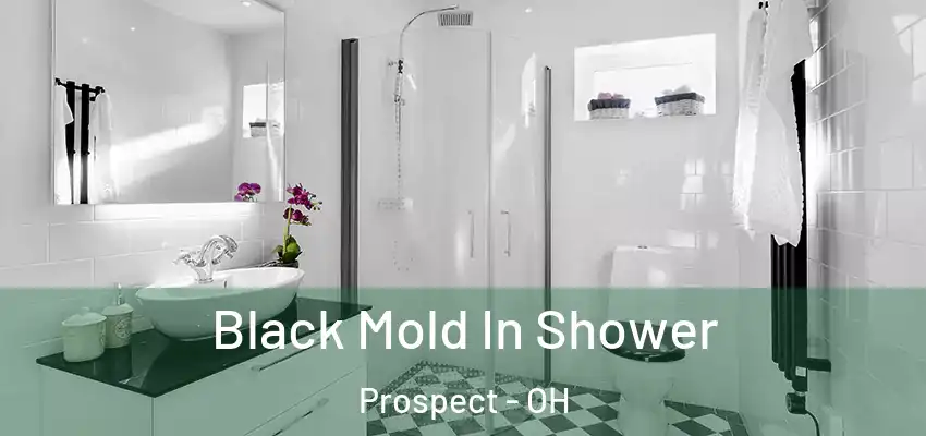  Black Mold In Shower Prospect - OH