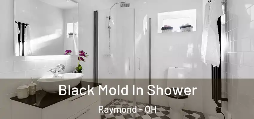 Black Mold In Shower Raymond - OH