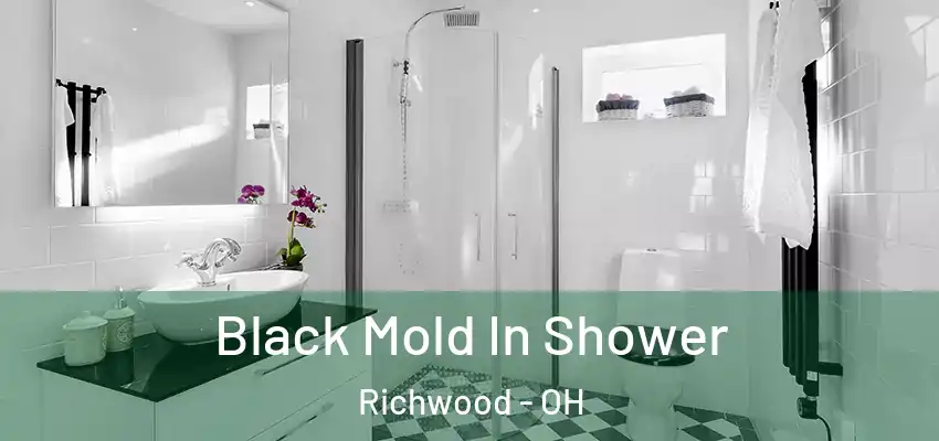 Black Mold In Shower Richwood - OH