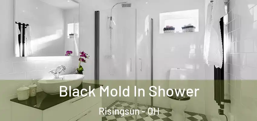 Black Mold In Shower Risingsun - OH
