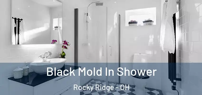  Black Mold In Shower Rocky Ridge - OH