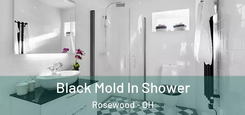 Black Mold In Shower Rosewood - OH