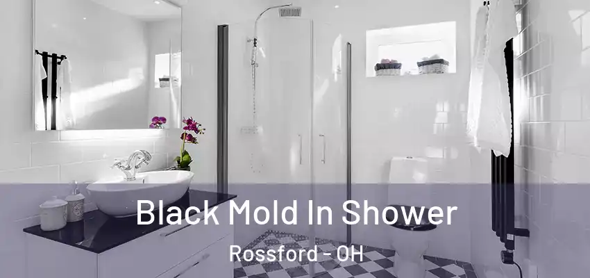  Black Mold In Shower Rossford - OH