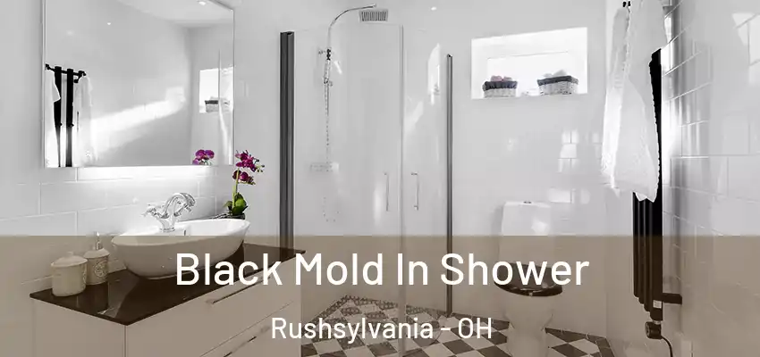 Black Mold In Shower Rushsylvania - OH