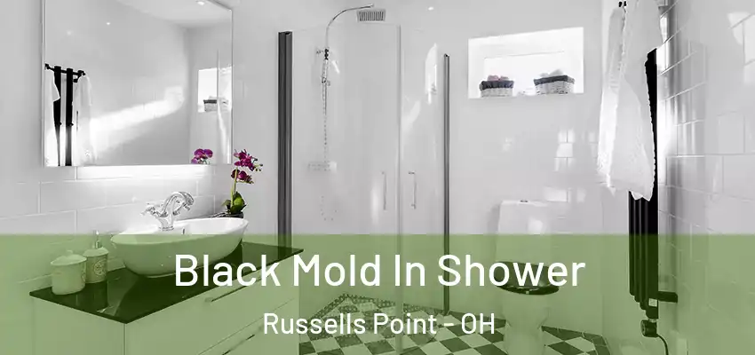 Black Mold In Shower Russells Point - OH