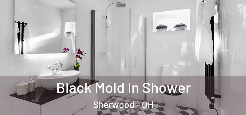  Black Mold In Shower Sherwood - OH