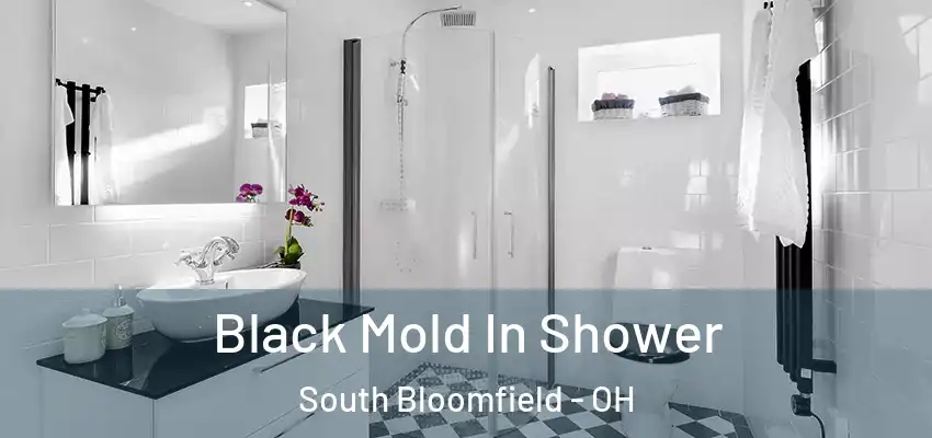 Black Mold In Shower South Bloomfield - OH