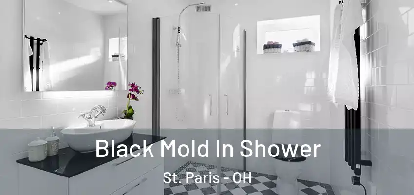  Black Mold In Shower St. Paris - OH
