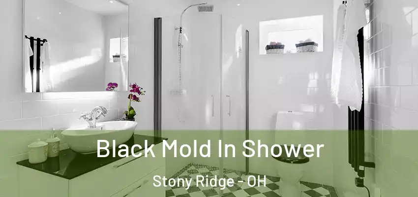 Black Mold In Shower Stony Ridge - OH
