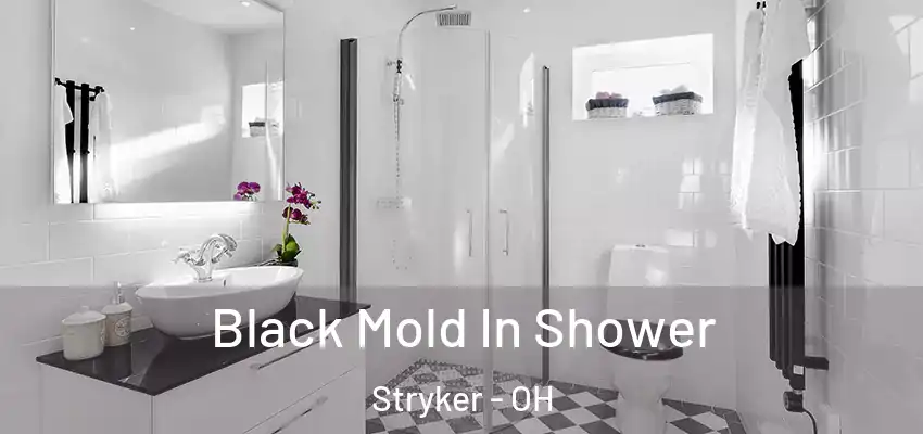  Black Mold In Shower Stryker - OH