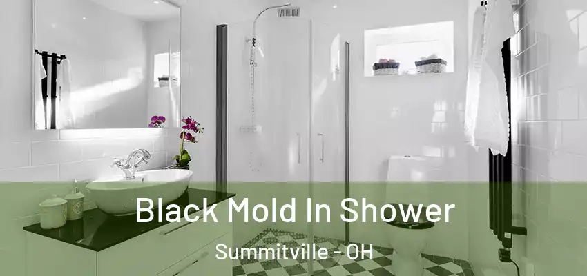 Black Mold In Shower Summitville - OH