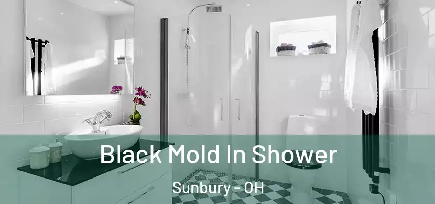  Black Mold In Shower Sunbury - OH