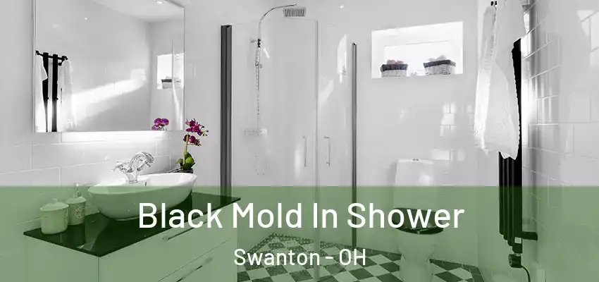  Black Mold In Shower Swanton - OH