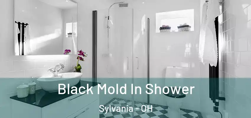  Black Mold In Shower Sylvania - OH