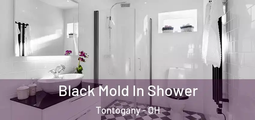  Black Mold In Shower Tontogany - OH