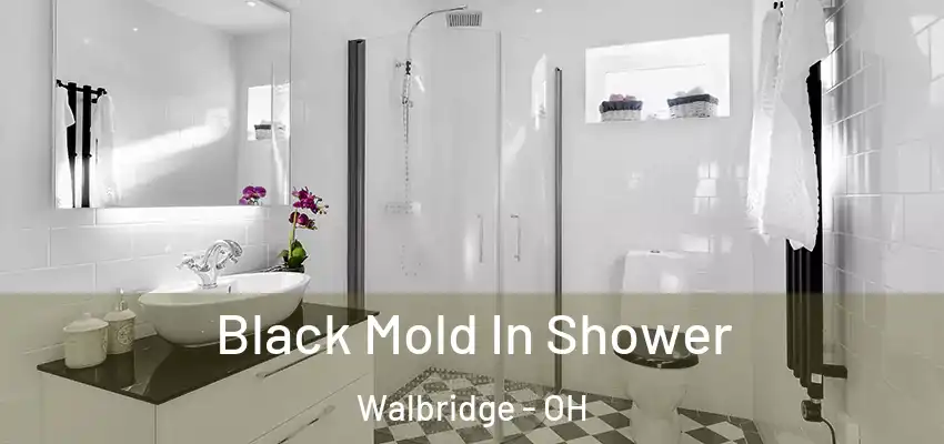  Black Mold In Shower Walbridge - OH