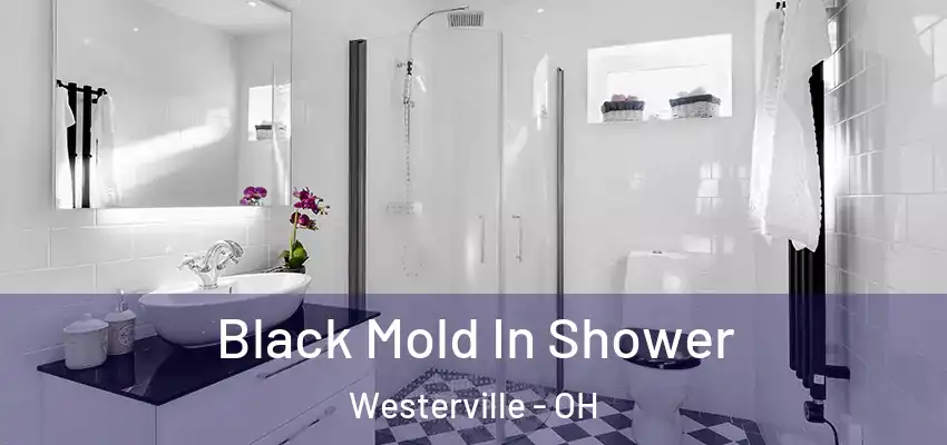  Black Mold In Shower Westerville - OH