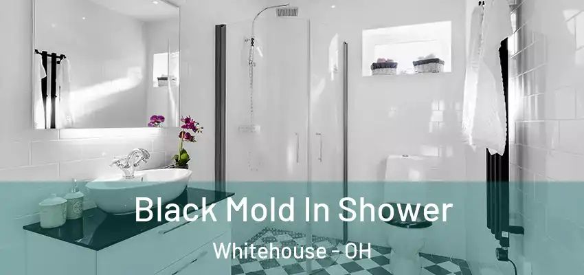  Black Mold In Shower Whitehouse - OH