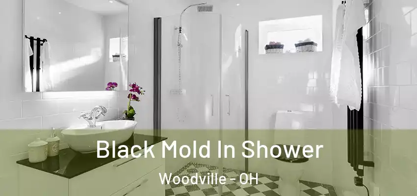  Black Mold In Shower Woodville - OH