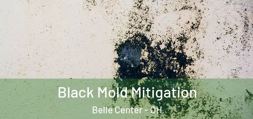  Black Mold Mitigation Belle Center - OH