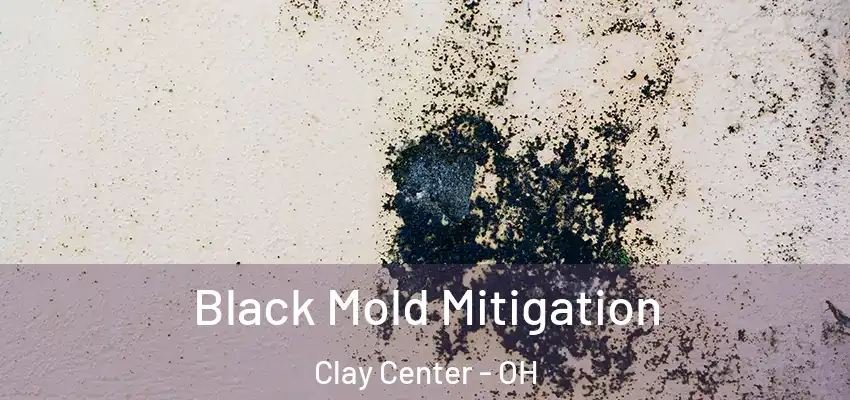  Black Mold Mitigation Clay Center - OH
