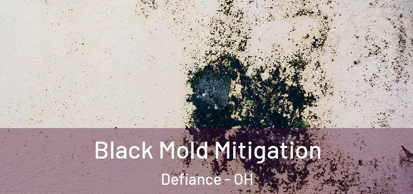  Black Mold Mitigation Defiance - OH