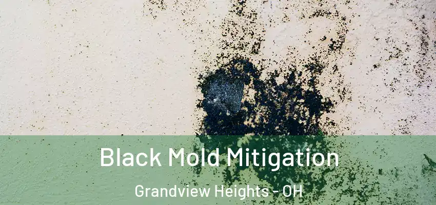  Black Mold Mitigation Grandview Heights - OH