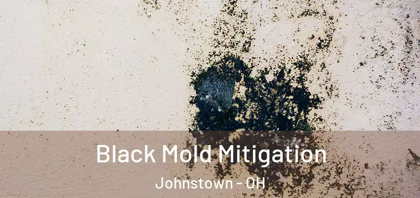 Black Mold Mitigation Johnstown - OH