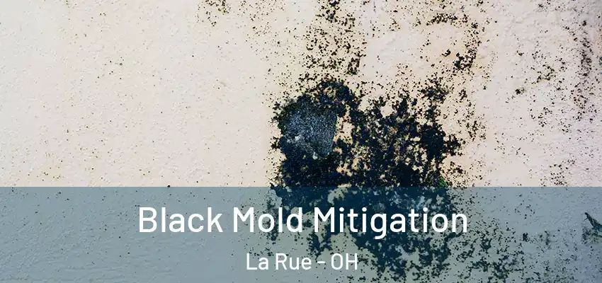  Black Mold Mitigation La Rue - OH