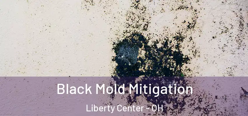  Black Mold Mitigation Liberty Center - OH
