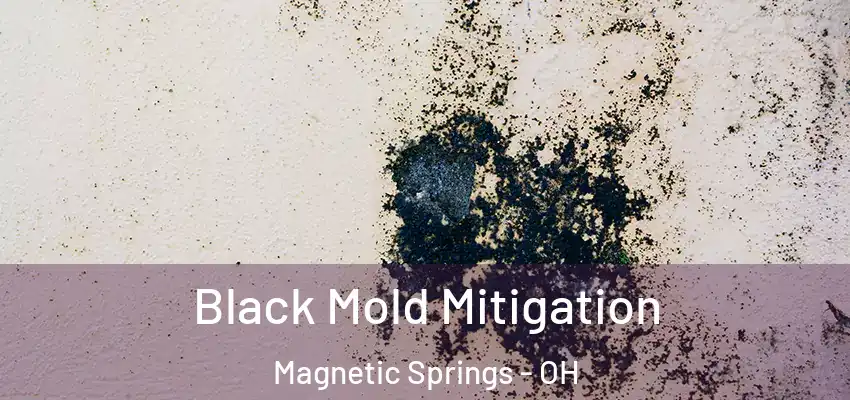  Black Mold Mitigation Magnetic Springs - OH