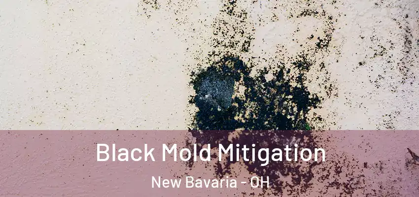  Black Mold Mitigation New Bavaria - OH