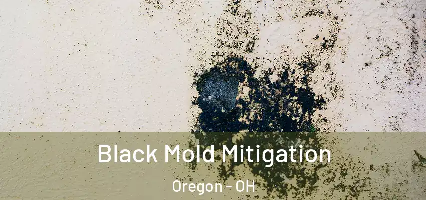 Black Mold Mitigation Oregon - OH