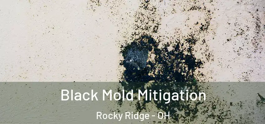  Black Mold Mitigation Rocky Ridge - OH