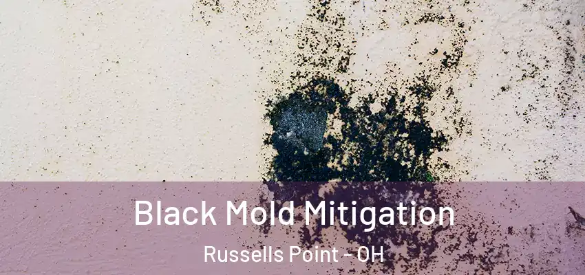  Black Mold Mitigation Russells Point - OH