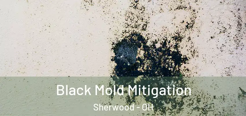  Black Mold Mitigation Sherwood - OH