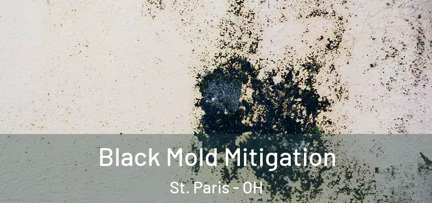  Black Mold Mitigation St. Paris - OH