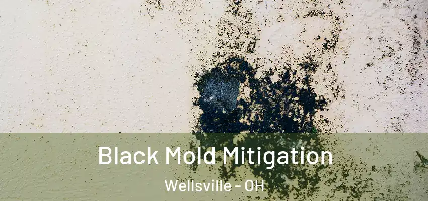  Black Mold Mitigation Wellsville - OH