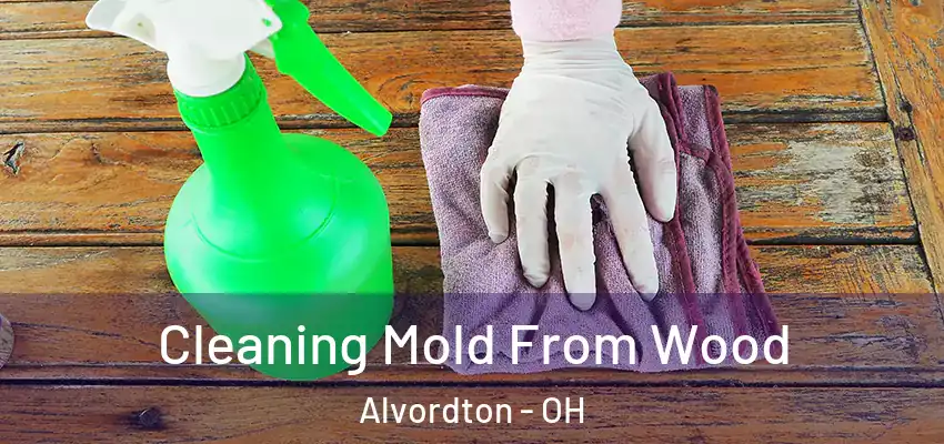 Cleaning Mold From Wood Alvordton - OH