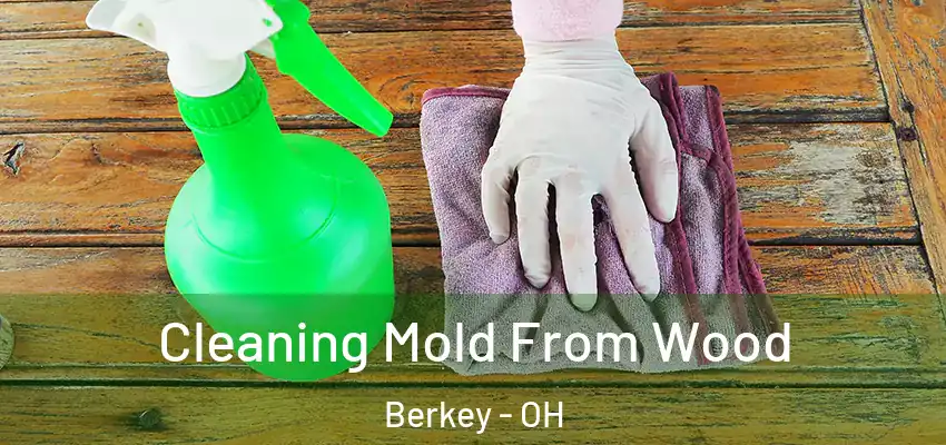  Cleaning Mold From Wood Berkey - OH