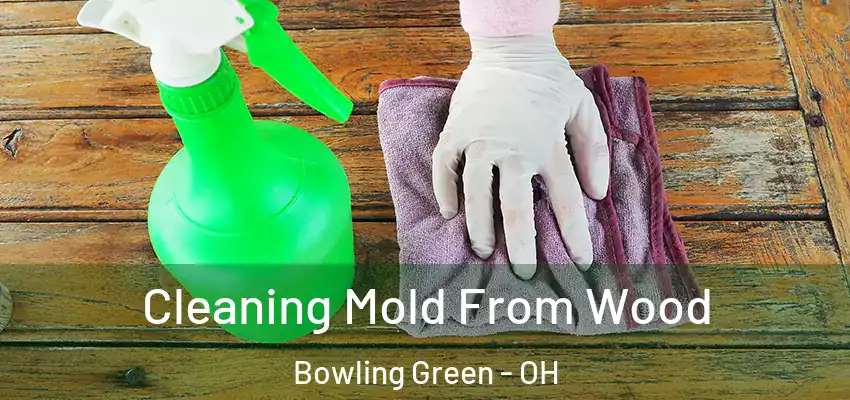  Cleaning Mold From Wood Bowling Green - OH