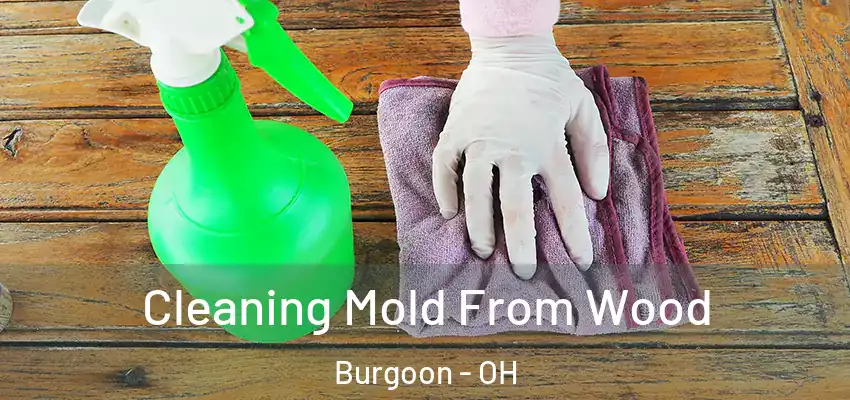  Cleaning Mold From Wood Burgoon - OH