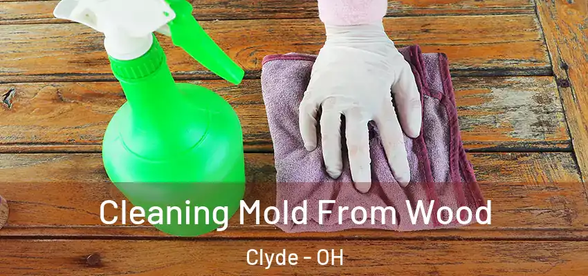  Cleaning Mold From Wood Clyde - OH
