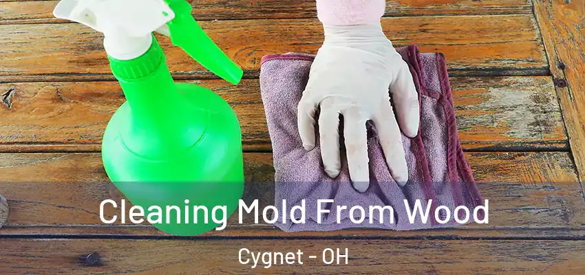 Cleaning Mold From Wood Cygnet - OH