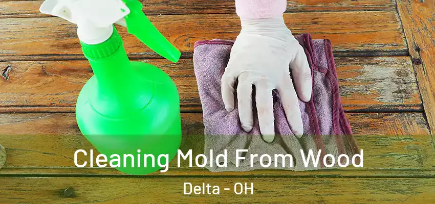  Cleaning Mold From Wood Delta - OH